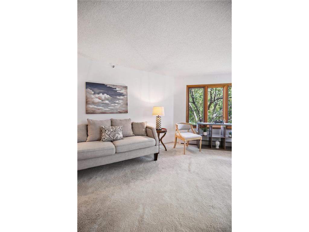 14601 Atrium Way #329 Minnetonka MN 55345 6677650 image5