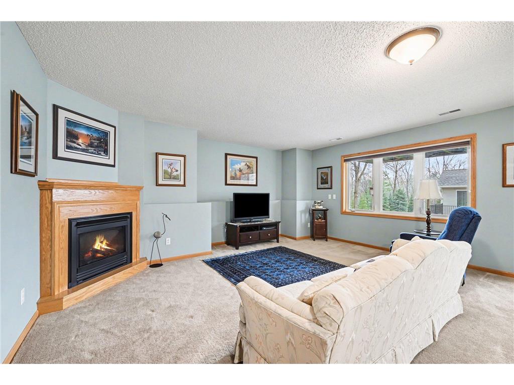 14602 Beverley Lane Savage MN 55378 7060943 image23