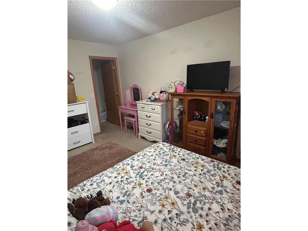1461 127th Lane NW Coon Rapids MN 55448 7064641 image10