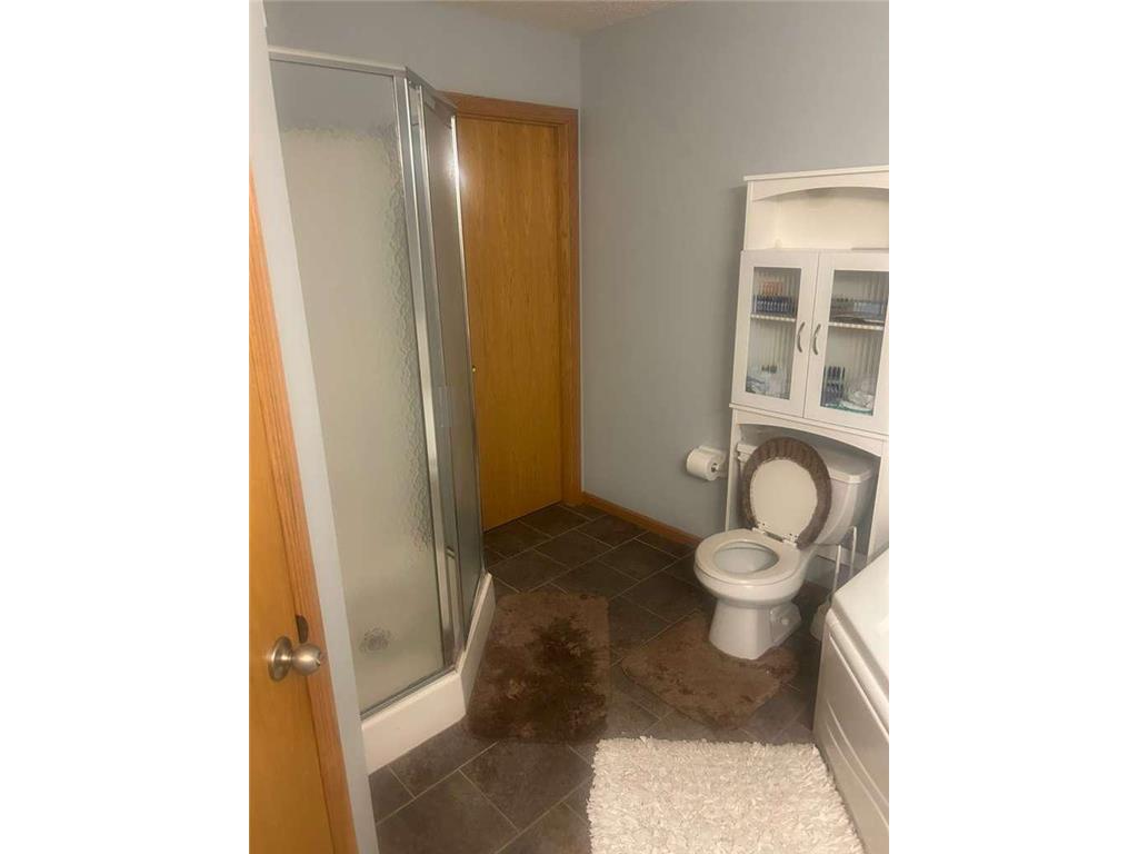 1461 127th Lane NW Coon Rapids MN 55448 7064641 image13