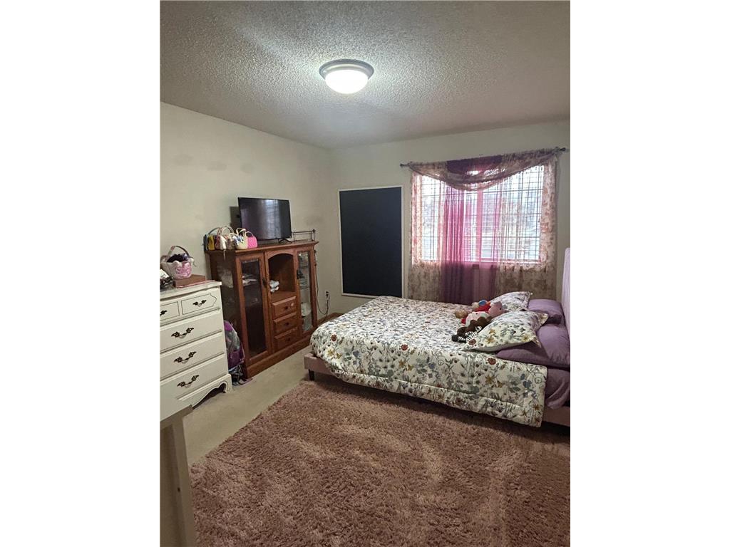 1461 127th Lane NW Coon Rapids MN 55448 7064641 image9