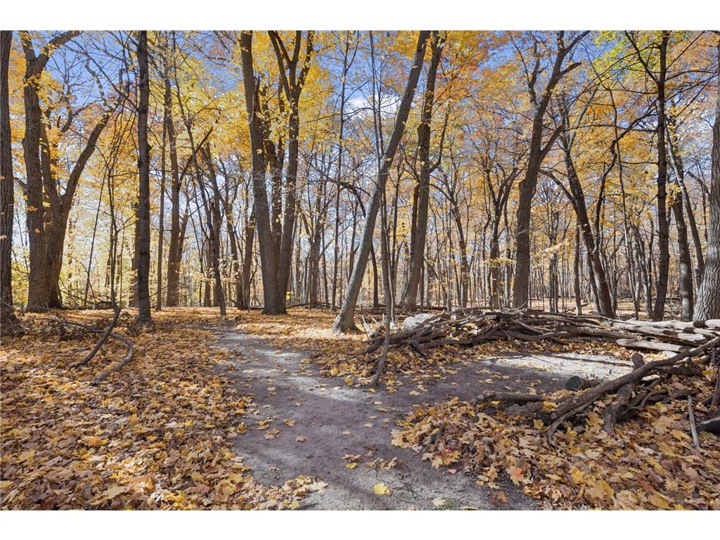 1461 N Arm Drive Mound MN 55364 7093423 image38