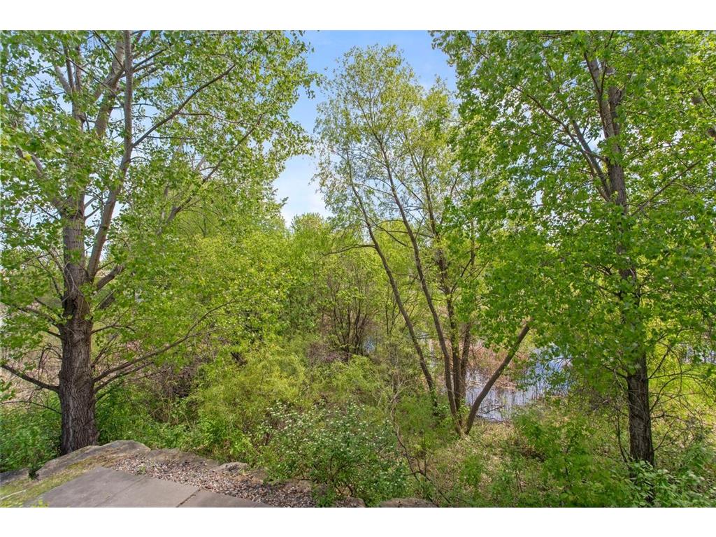 14633 Victor Hugo Boulevard N #4 Hugo MN 55038 7058283 image2