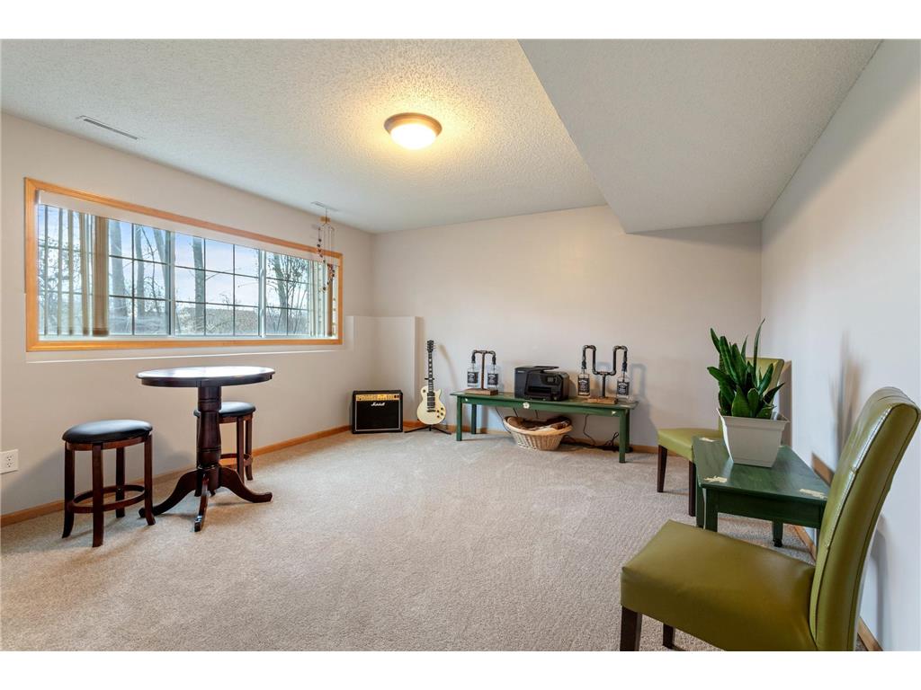 14633 Victor Hugo Boulevard N #4 Hugo MN 55038 7058283 image27