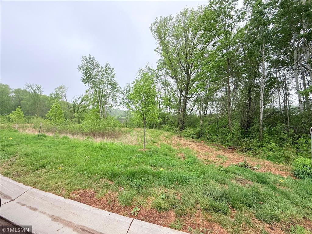 14633 Virginia Avenue S Savage MN 55378 7079018 image5