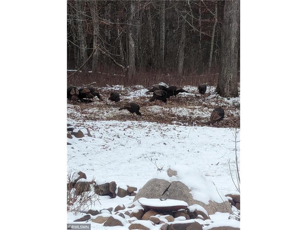 14638 State Highway 70 Pine City MN 55063 6704298 image32