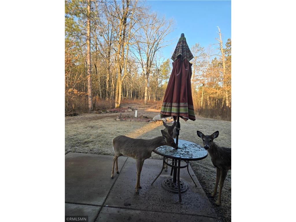 14638 State Highway 70 Pine City MN 55063 6704298 image33