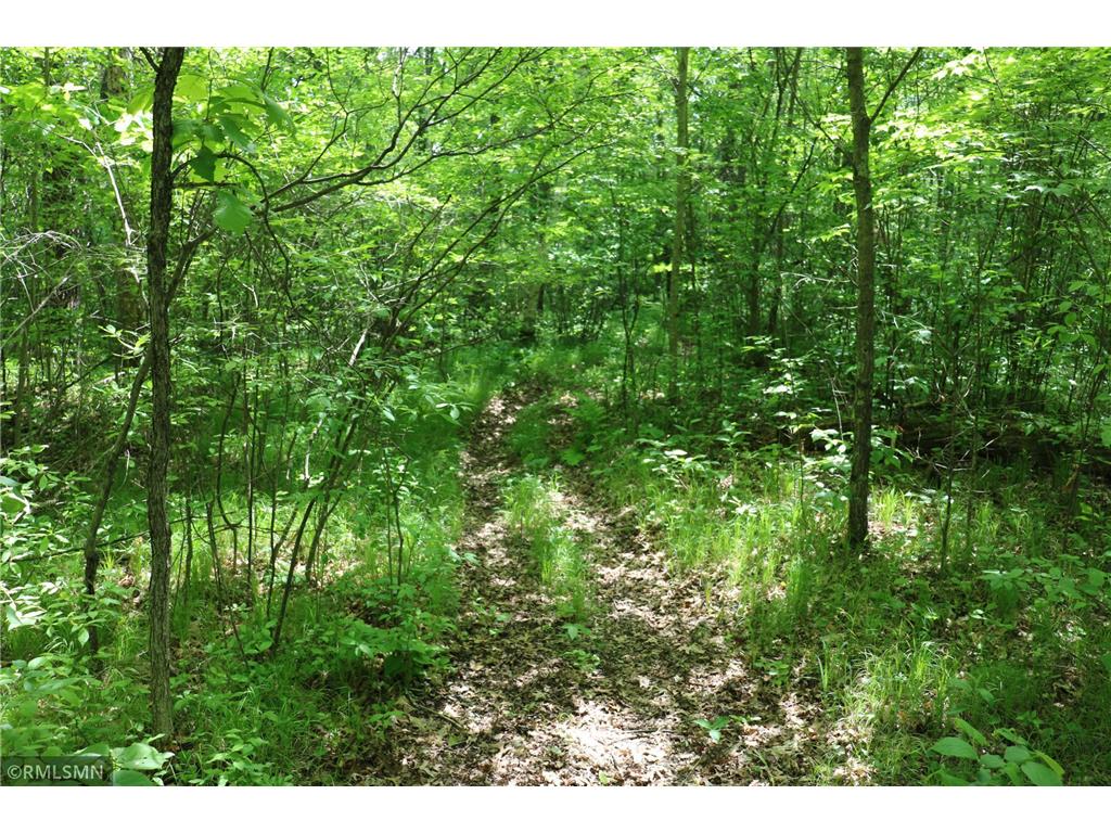 14638 State Highway 70 Pine City MN 55063 6704298 image49