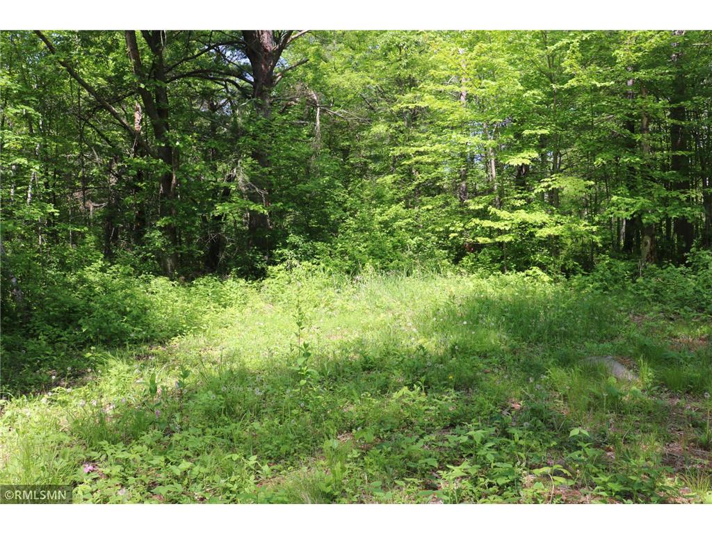 14638 State Highway 70 Pine City MN 55063 6704298 image50