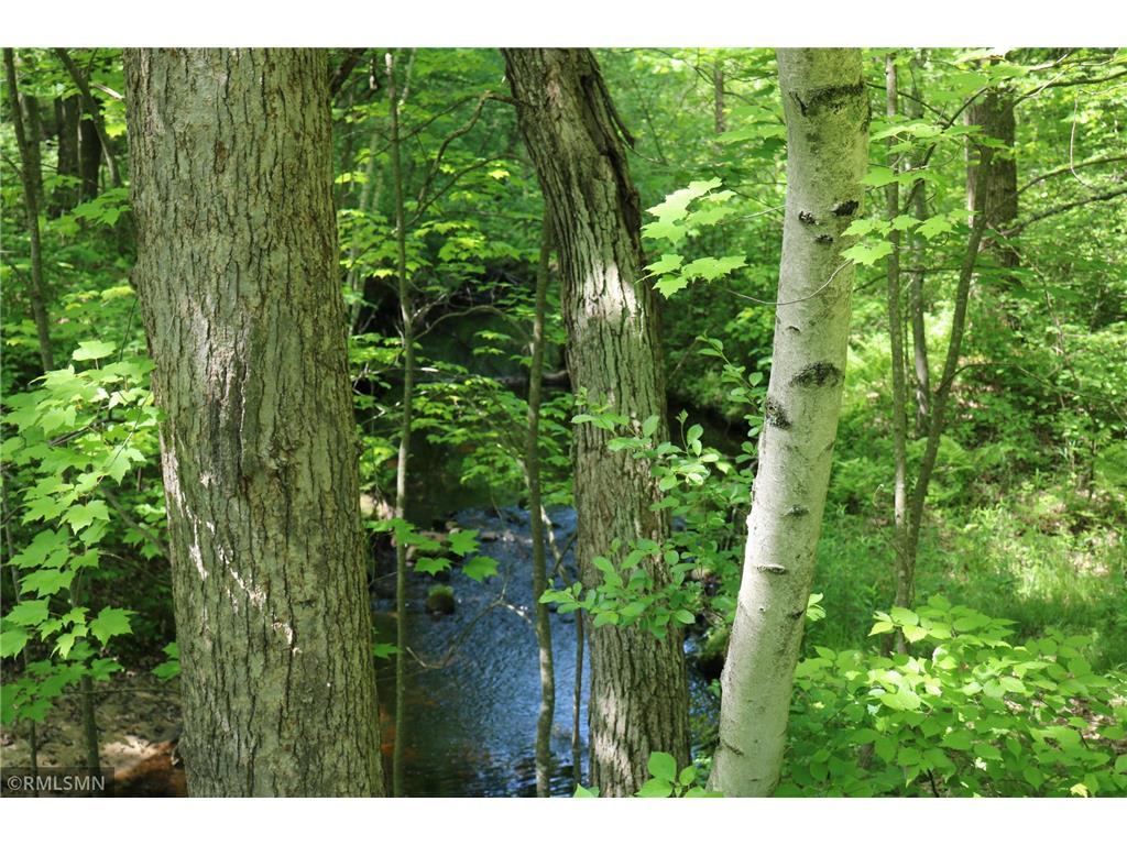 14638 State Highway 70 Pine City MN 55063 6704298 image51