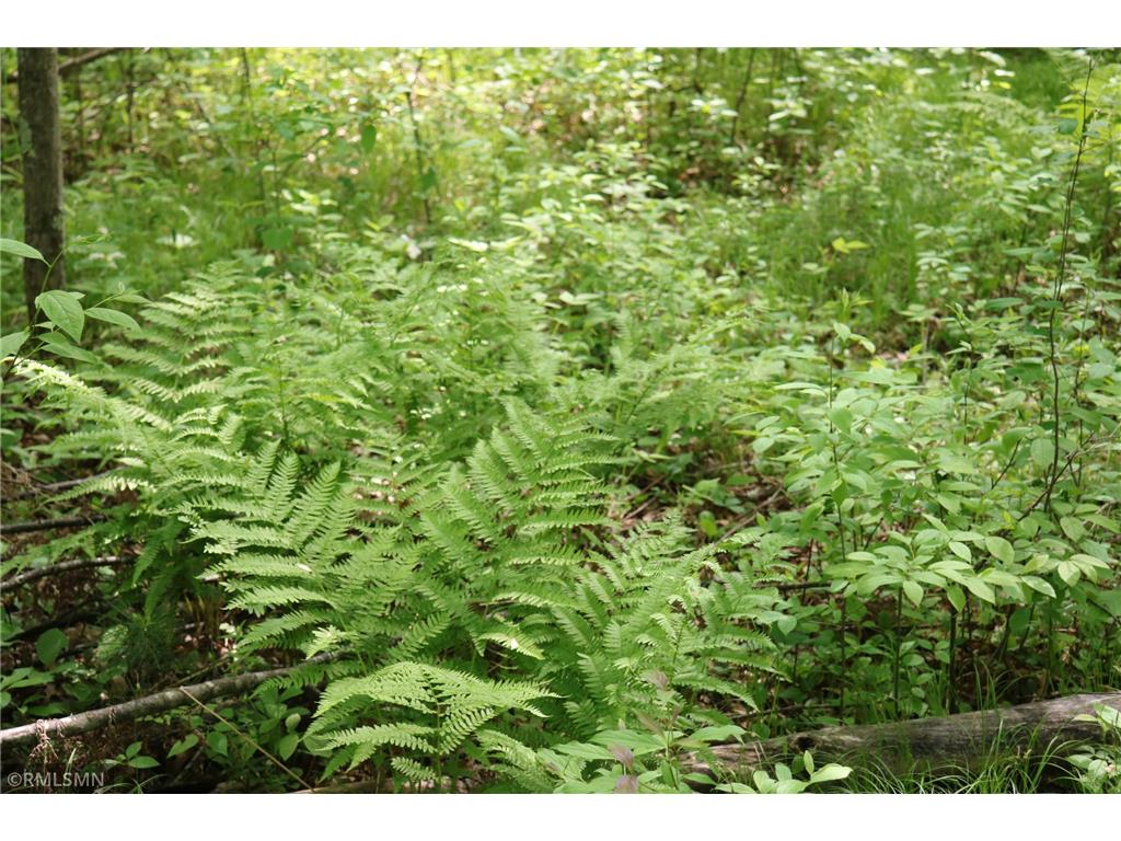 14638 State Highway 70 Pine City MN 55063 6704298 image57