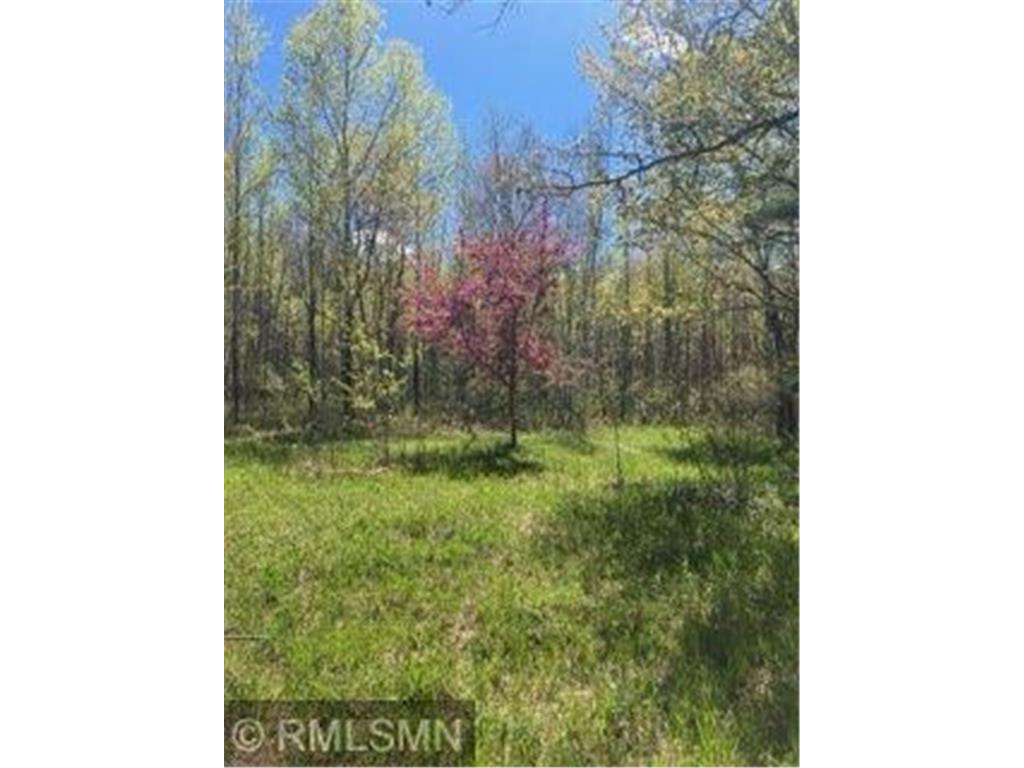 14644 Aspen Circle Rock Creek MN 55063 7100560 image10