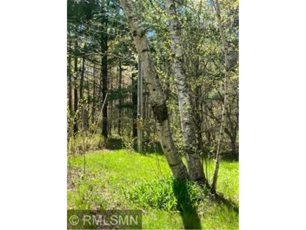14644 Aspen Circle Rock Creek MN 55063 7100560 image6
