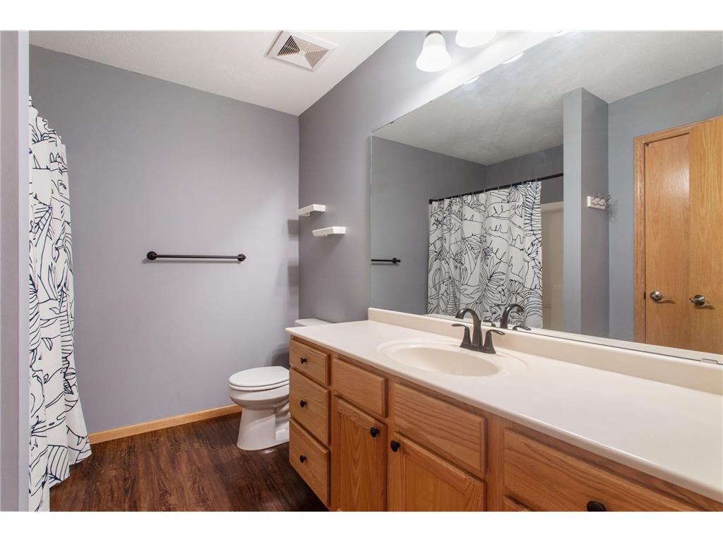 14648 Blueberry Court Rosemount MN 55068 6803971 image11