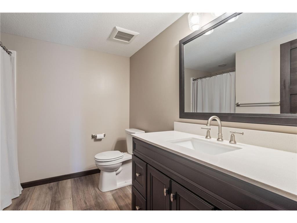 14648 Blueberry Court Rosemount MN 55068 6803971 image16