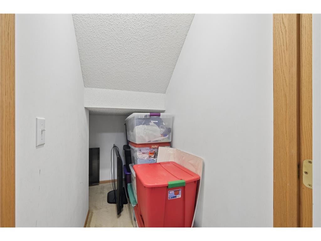 14649 Peridot Terrace NW Ramsey MN 55303 7070961 image11