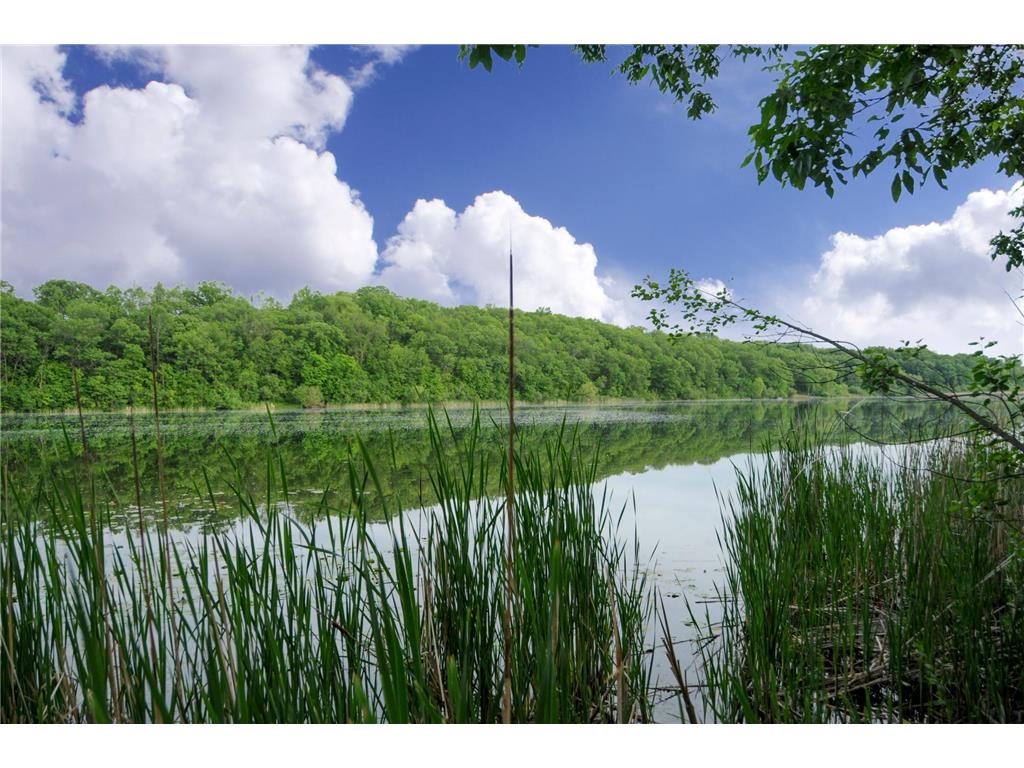 1465 Island Drive Golden Valley MN 55422 - Sweeney Lake 7033983 image86