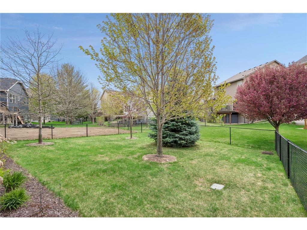 14651 Sodium Street NW Ramsey MN 55303 7069614 image24
