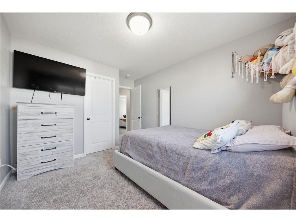 14654 Snowy Owl Street NW Ramsey MN 55303 7078389 image13