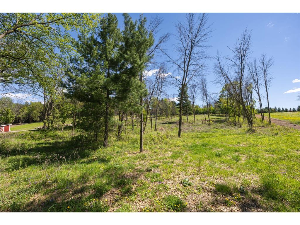 14659 30th Street N Stillwater MN 55082 7080708 image8