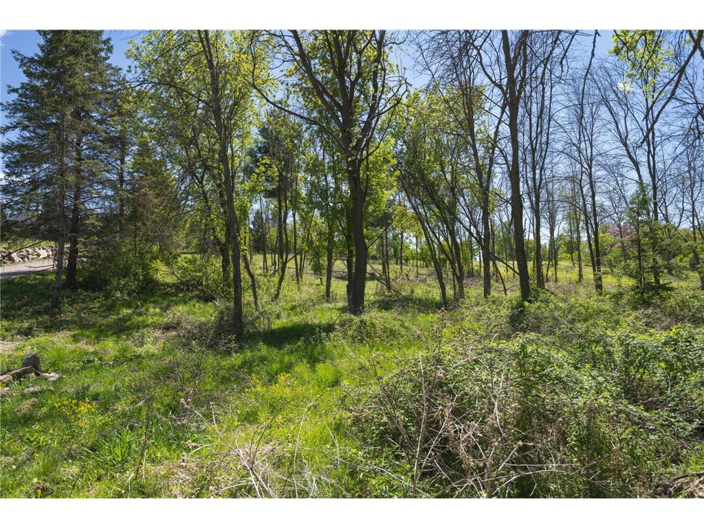 14659 30th Street N Stillwater MN 55082 7080708 image9