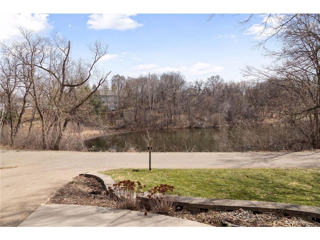 1467 Pond Wynde N Eagan MN 55122 7033161 image16