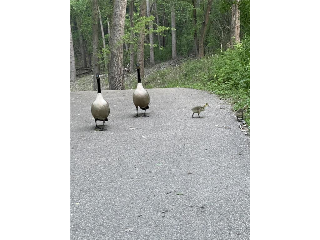 1467 Summit Shores E Burnsville MN 55306 - Earley 7003927 image24