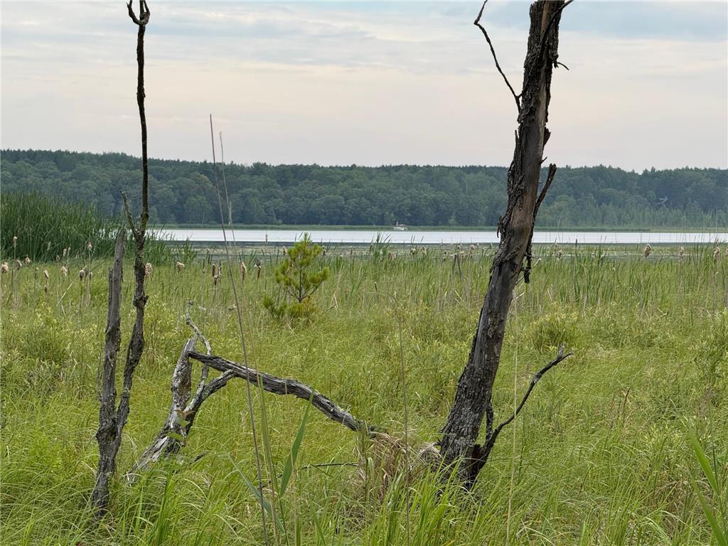 14677 Chokecherry Drive Nevis MN 56467 - Fourth Crow Wing 6754941 image1