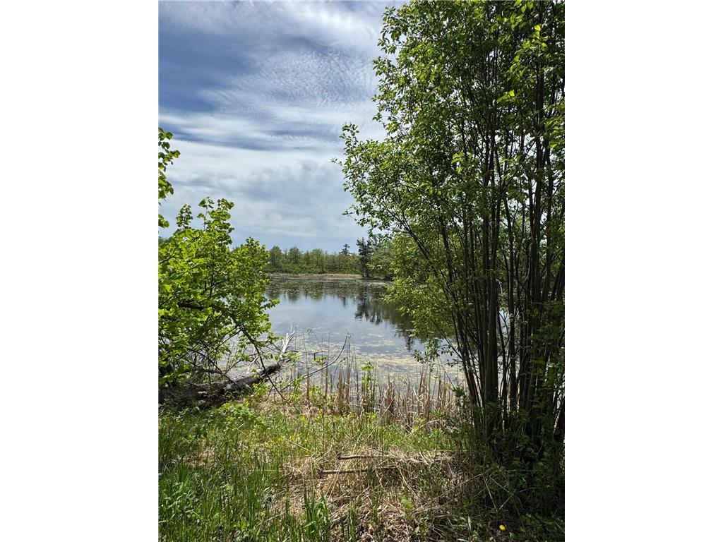1469 Woodland Loop NW Wabanica Twp MN 56623 - Wabanica Creek 7083065 image13