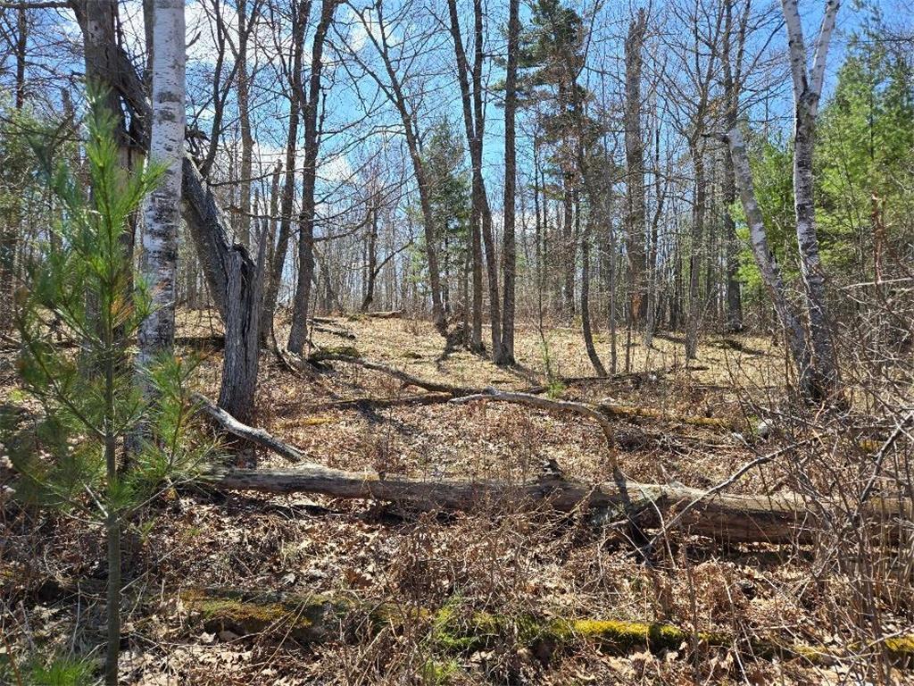 1470 Cardinal Lane NE Kego Twp MN 56655 - Long Lake 7065468 image7