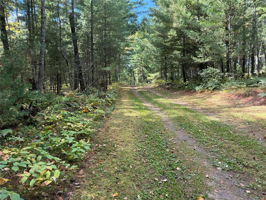 14701 Chokecherry Drive Nevis MN 56467 - Fourth Crow Wing 7085327 image20