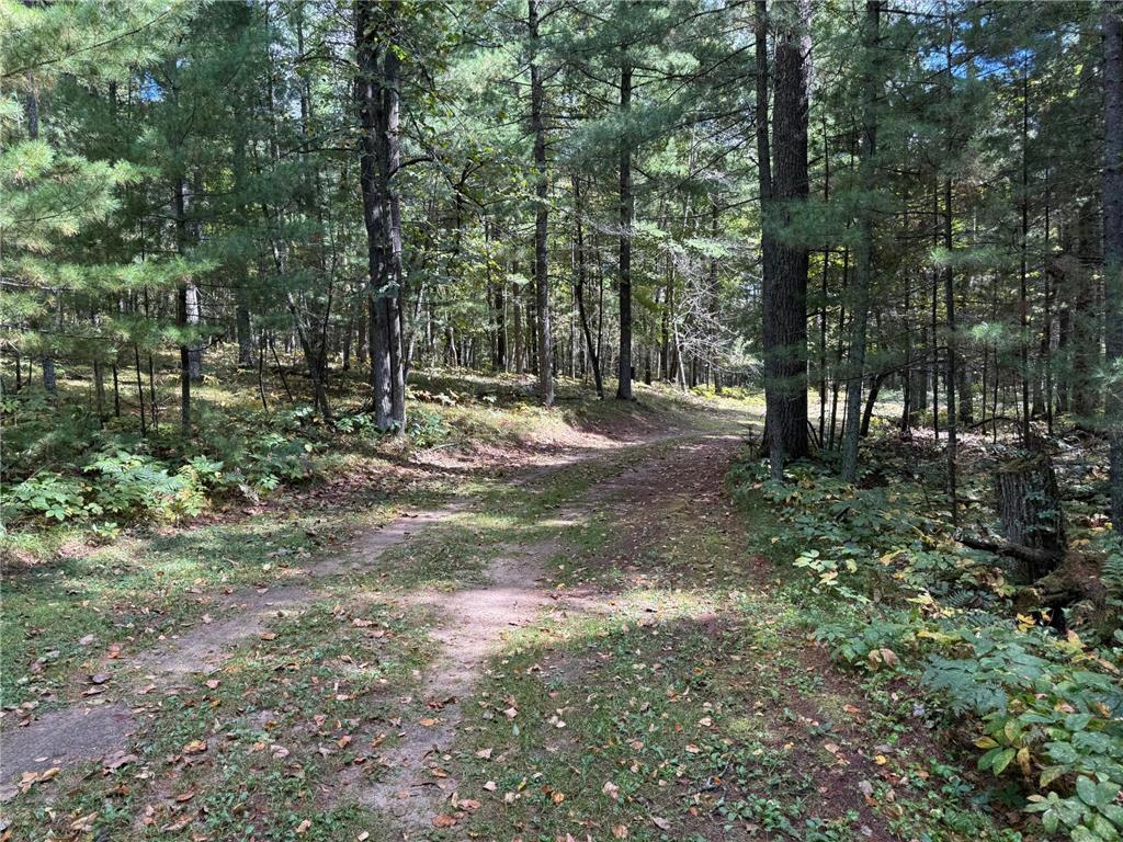 14701 Chokecherry Drive Nevis MN 56467 - Fourth Crow Wing 7085327 image33