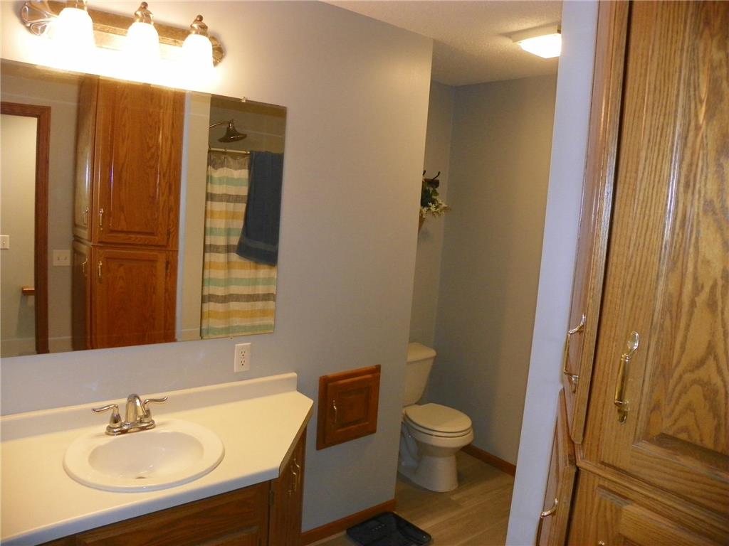 14703 State Highway 22 Eden Valley MN 55329 7022156 image41