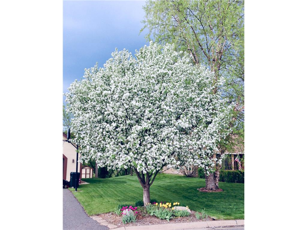 1471 Summit Avenue Saint Paul Park MN 55071 7069555 image31