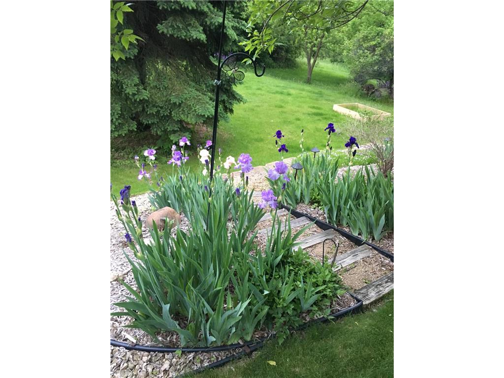 1471 Summit Avenue Saint Paul Park MN 55071 7069555 image32
