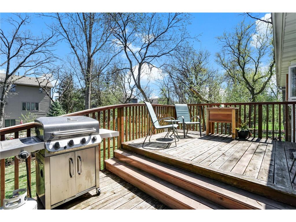 14715 Krypton Street NW Ramsey MN 55303 7074951 image39