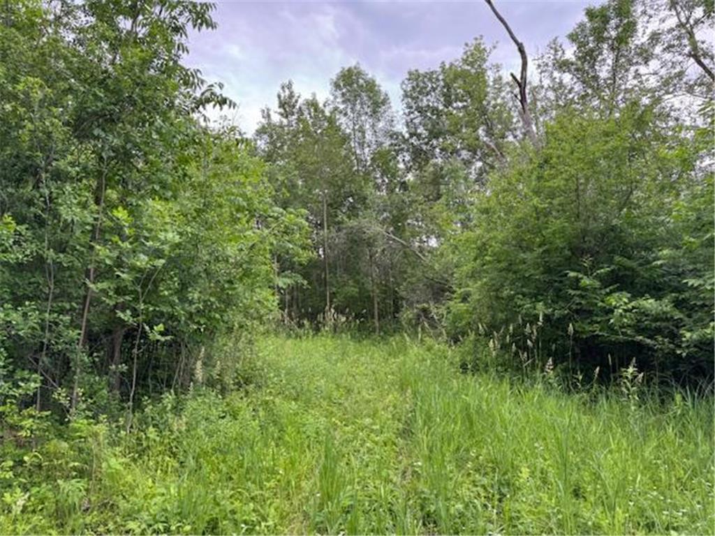 14717 State 210 Stowe Prairie Twp MN 56453 7075945 image83