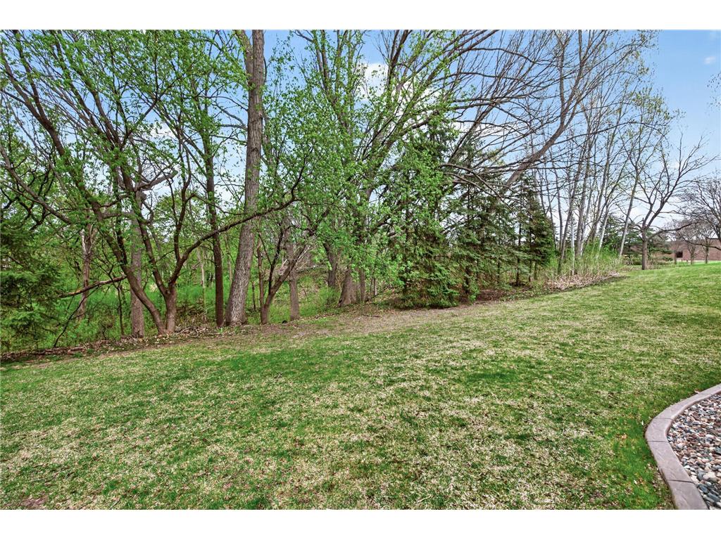 14722 Oak Run Lane Burnsville MN 55306 7055682 image30