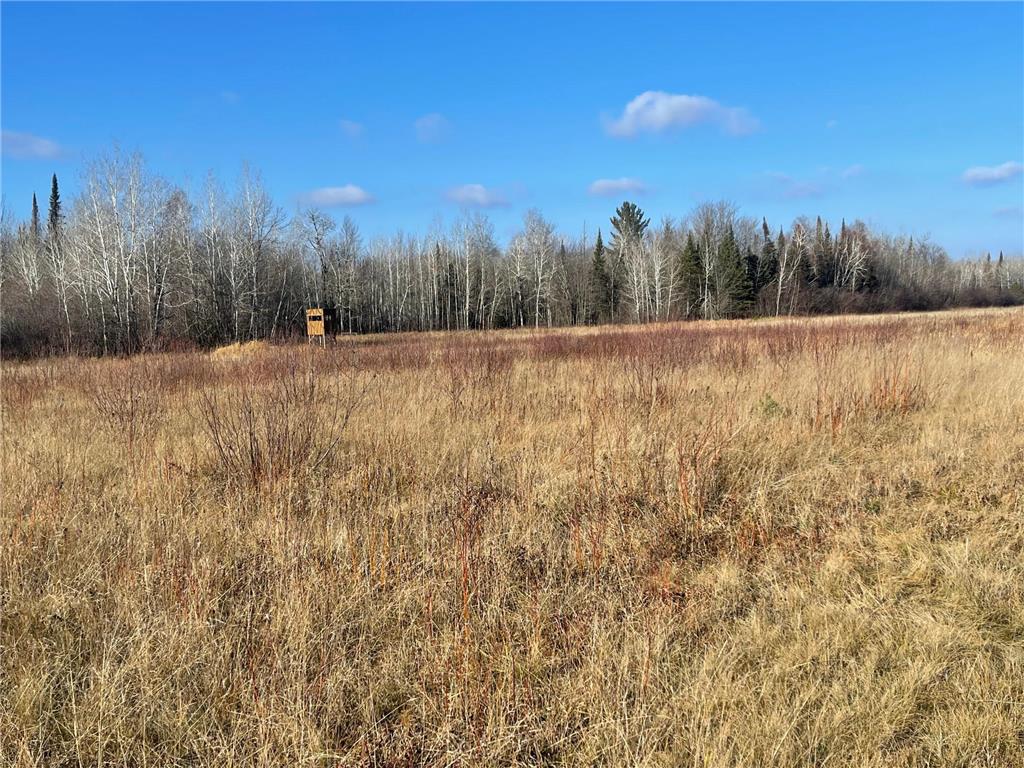 14730 Cr-25 Wawina Twp MN 55736 6823222 image2