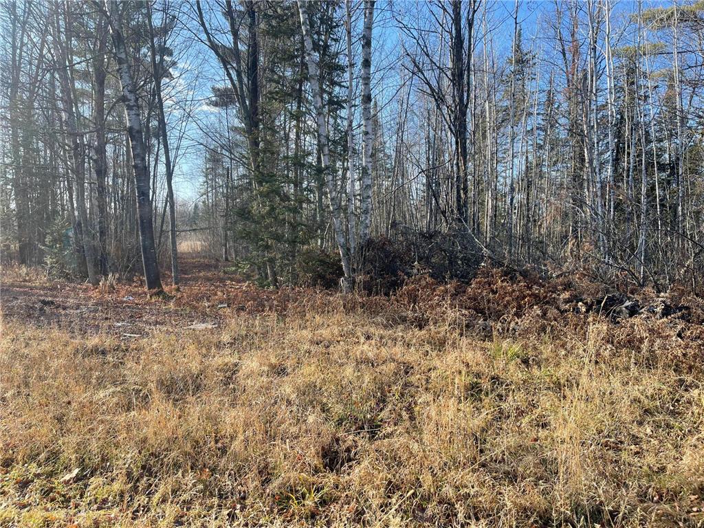 14730 Cr-25 Wawina Twp MN 55736 6823222 image4