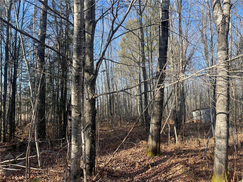 14730 Cr-25 Wawina Twp MN 55736 6823222 image5