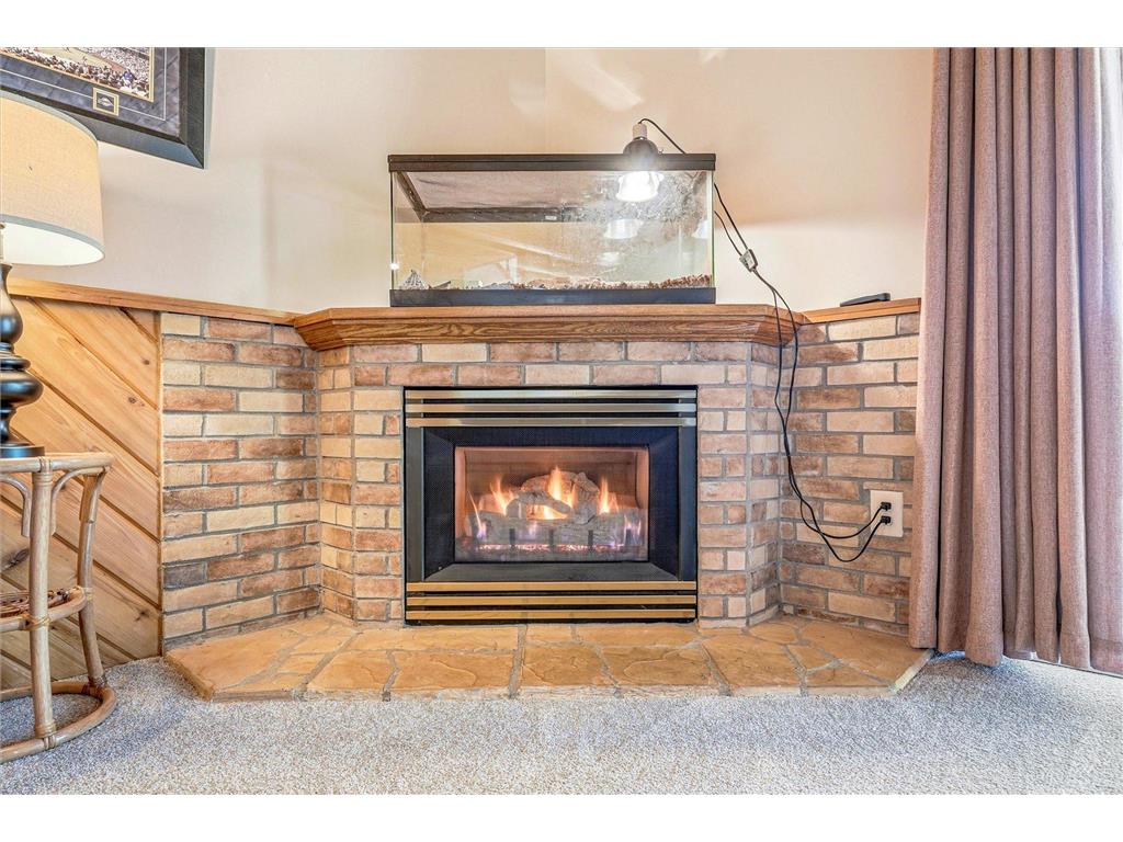 14733 Lower Endicott Way Apple Valley MN 55124 7085184 image31