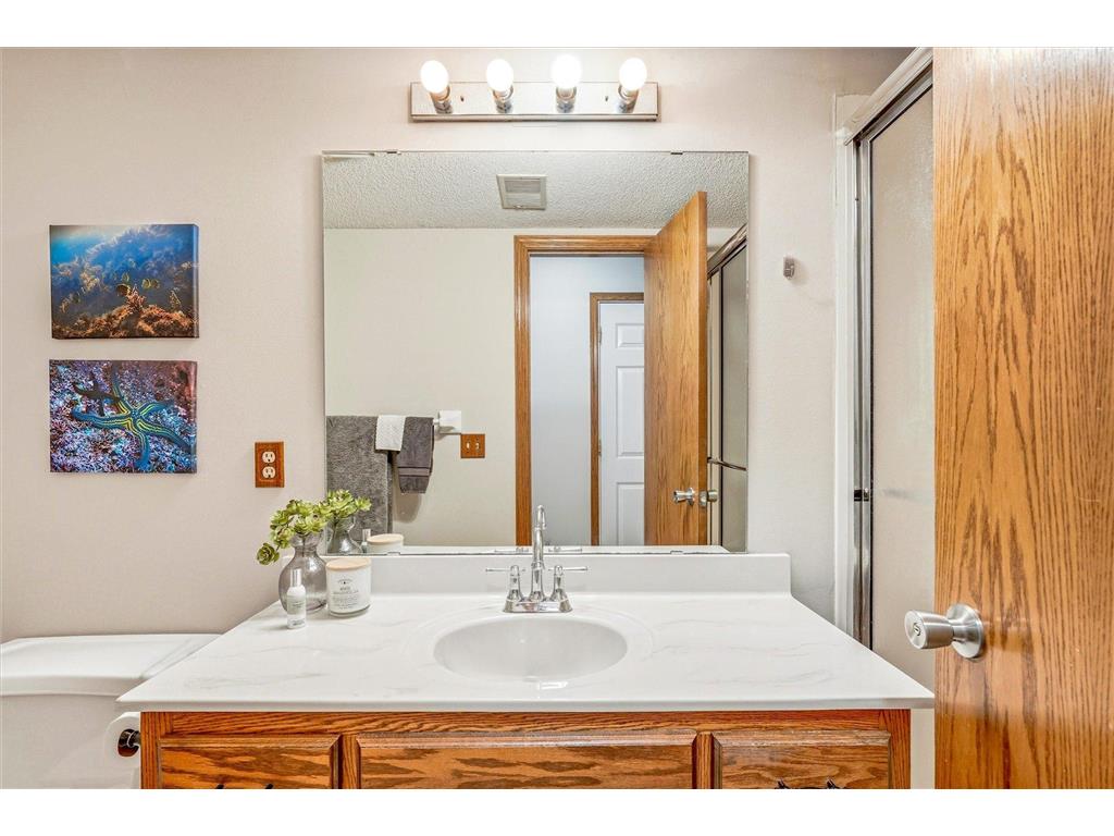 14733 Lower Endicott Way Apple Valley MN 55124 7085184 image33