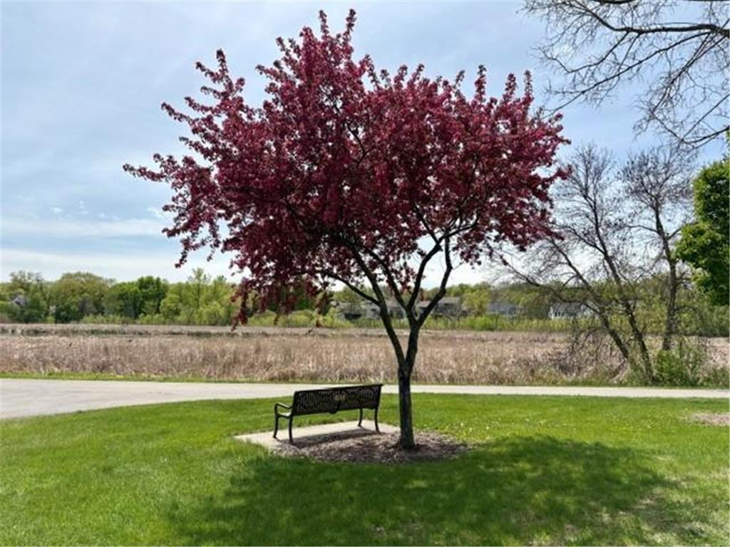 14740 Meadowood Drive Savage MN 55378 7069862 image49