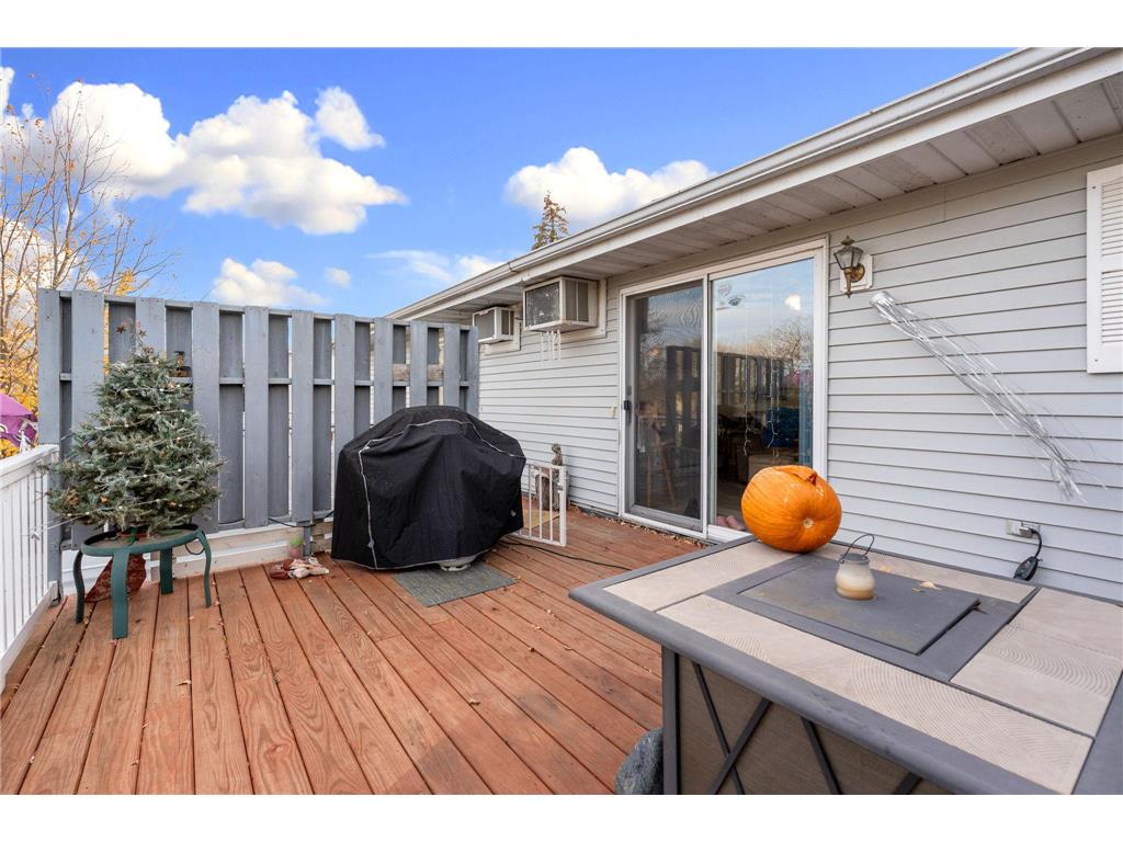 14743 Snake Trail Woodville Twp MN 56093 - Clear Lake 6815305 image13