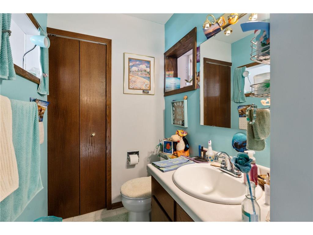 14743 Snake Trail Woodville Twp MN 56093 - Clear Lake 6815305 image29