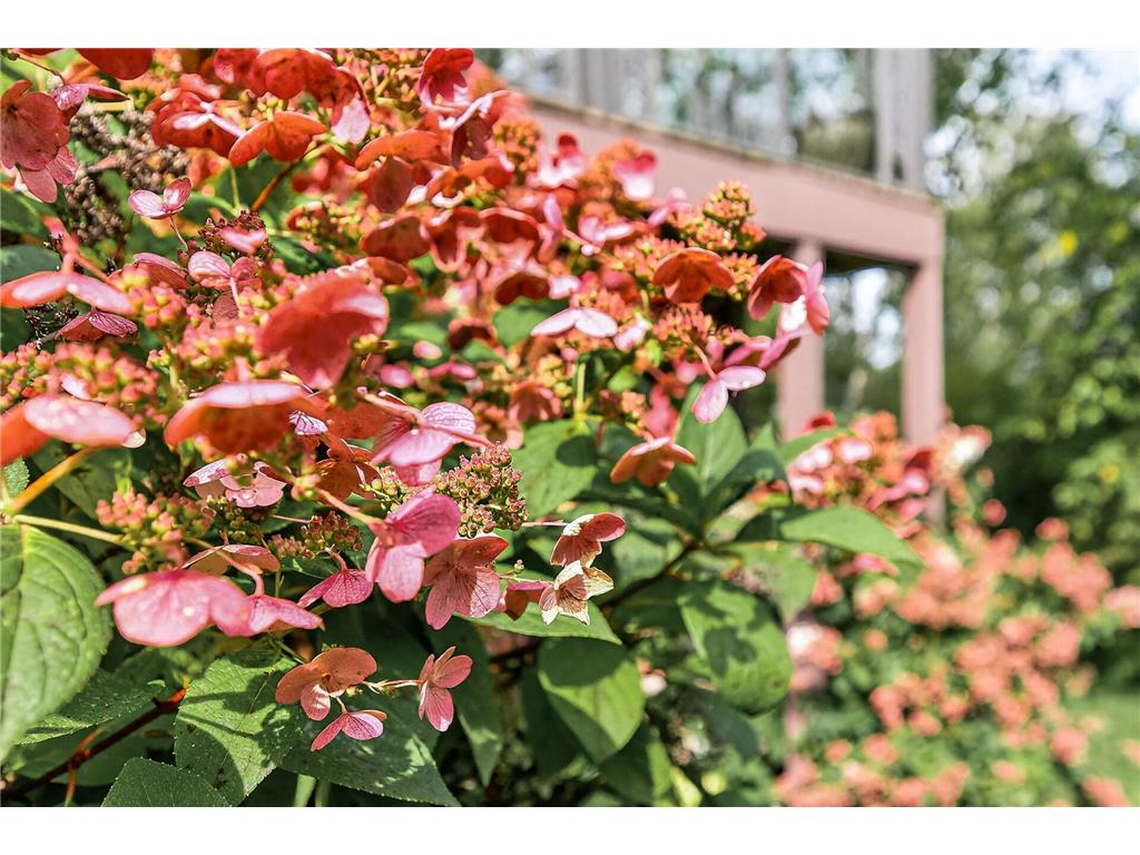 1475 162nd Avenue NW Andover MN 55304 6797288 image59