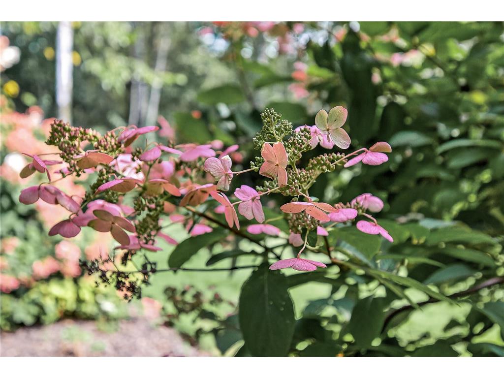 1475 162nd Avenue NW Andover MN 55304 6797288 image60