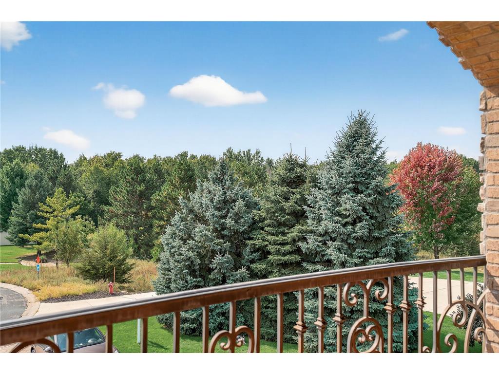 1475 162nd Avenue NW Andover MN 55304 7083372 image35