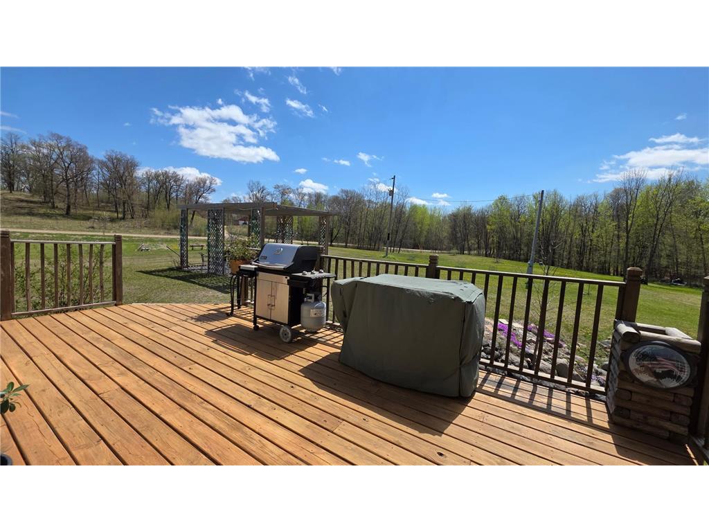 14750 Matson Road Burlington Twp MN 56544 7068661 image54